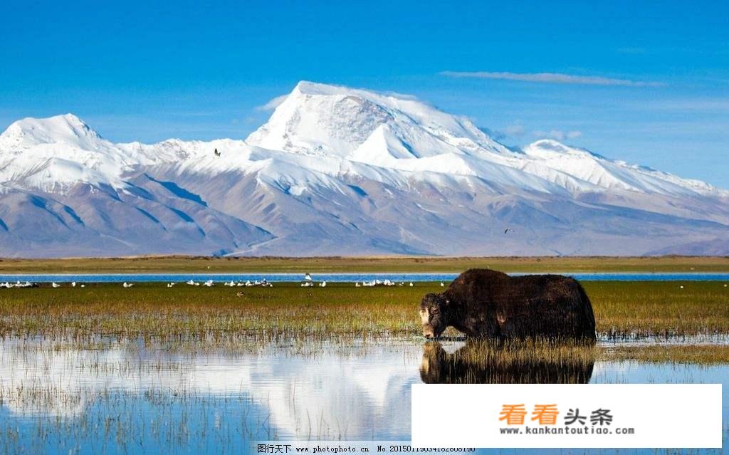 心情不好，想出去旅行，有没有谁知道有什么好看的景色？