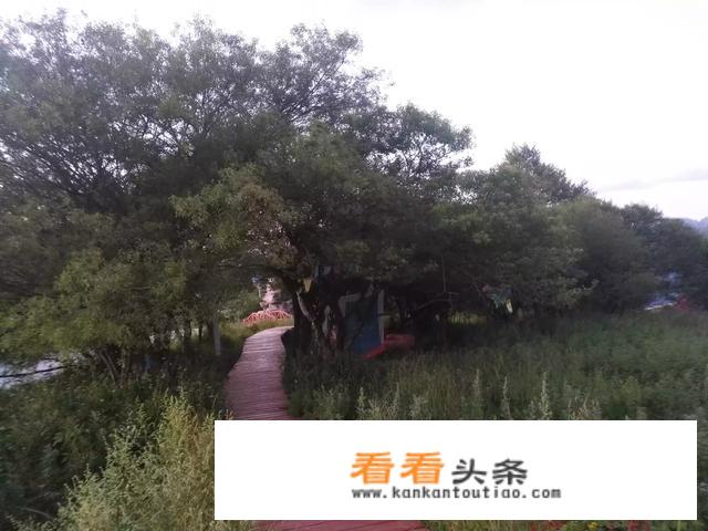 大学情侣出去约会，花销该怎么分？可以AA吗？