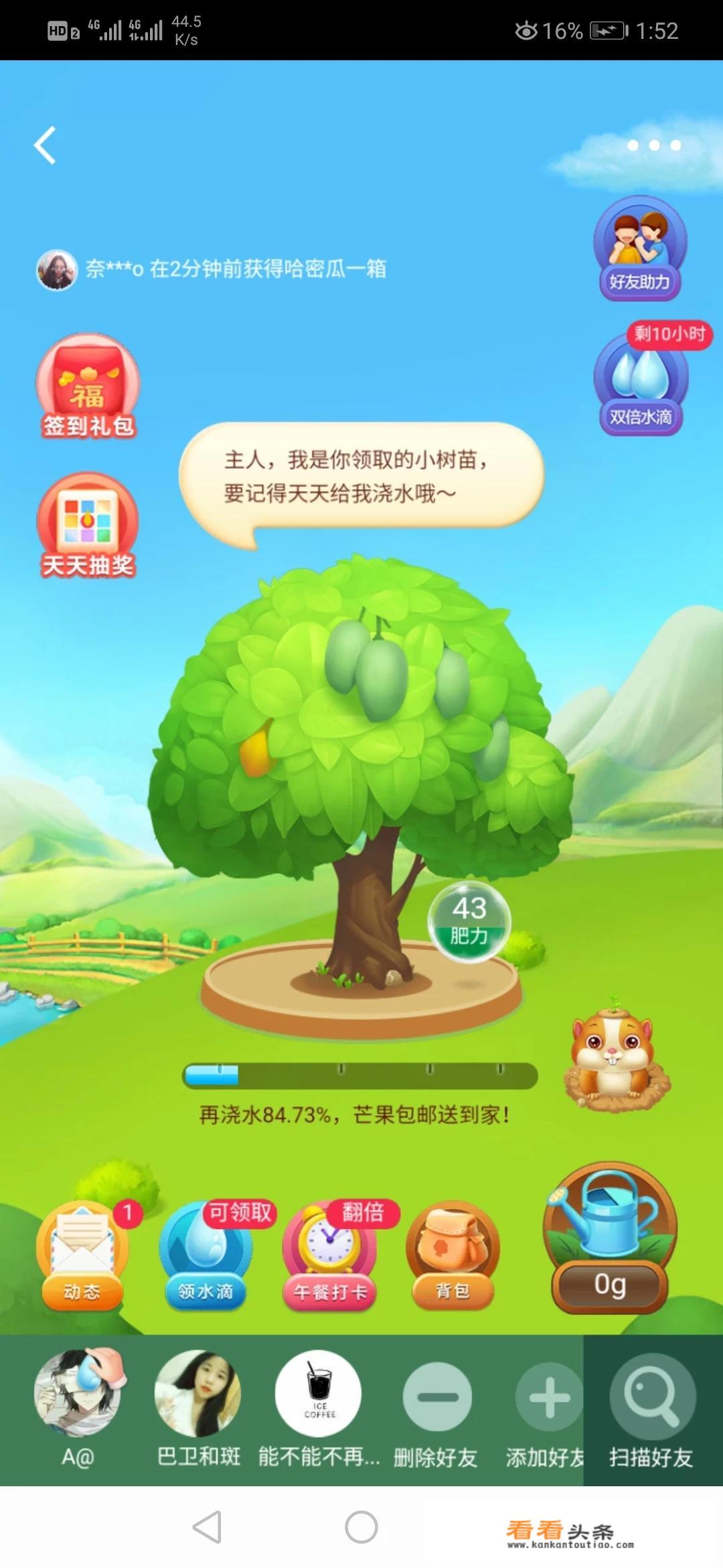 网上偷菜是什么意思？