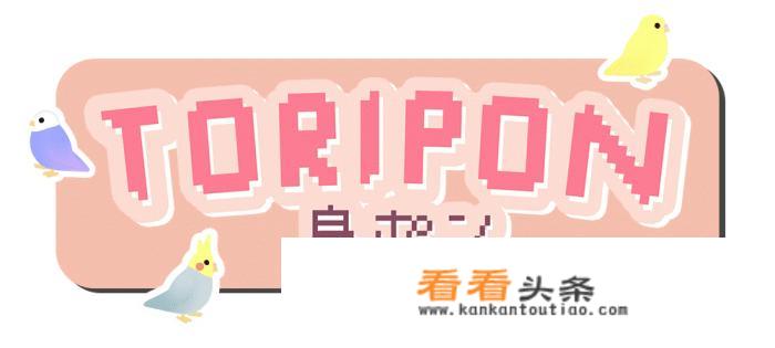 Toripon是一款怎样的游戏？