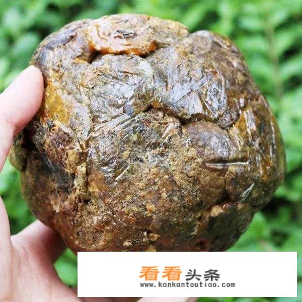 蜂胶适合什么人群吃？