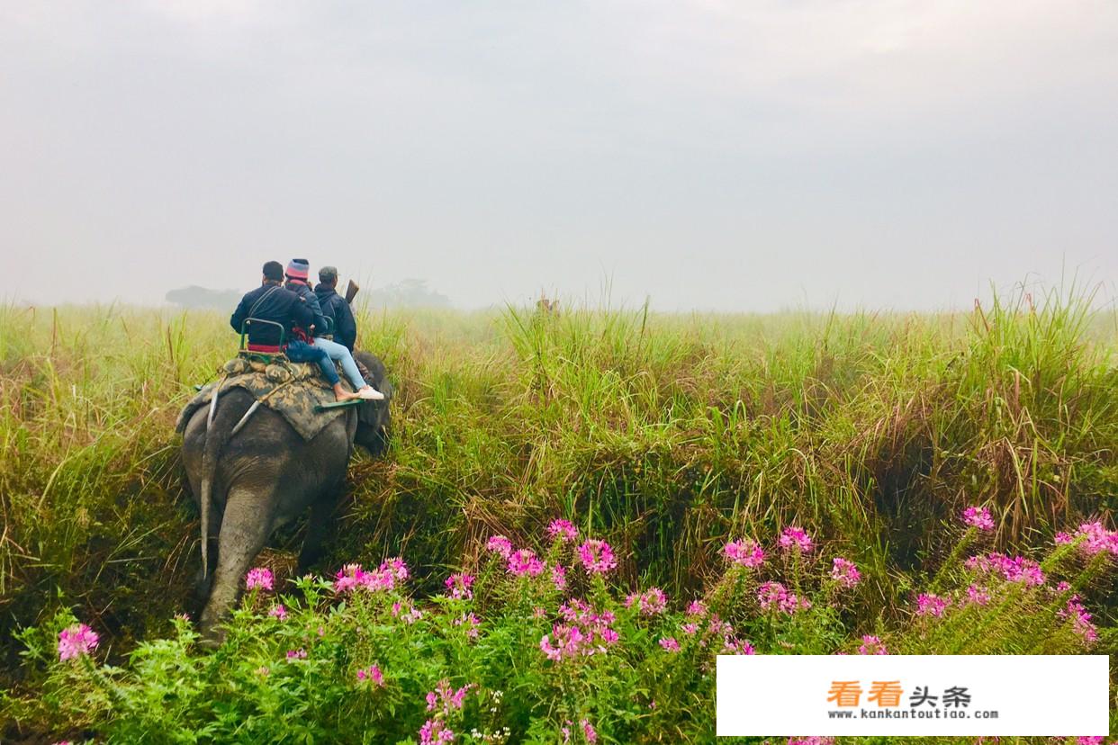 印度有哪些适合带小孩旅行的地方？