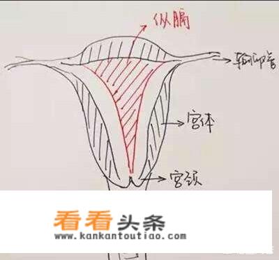 Y型不完全纵格子宫，怀孕后能否生下健康的孩子，可以顺产吗？