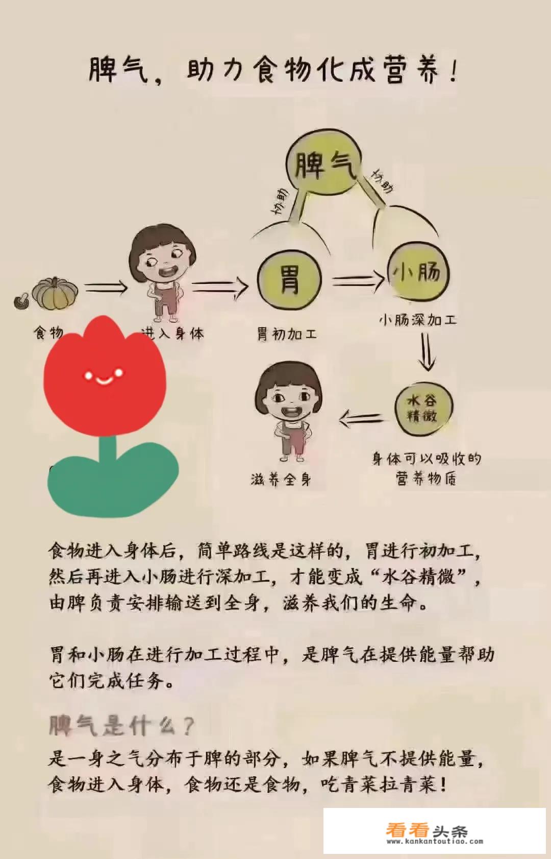 什么食物对养胃会有帮助？