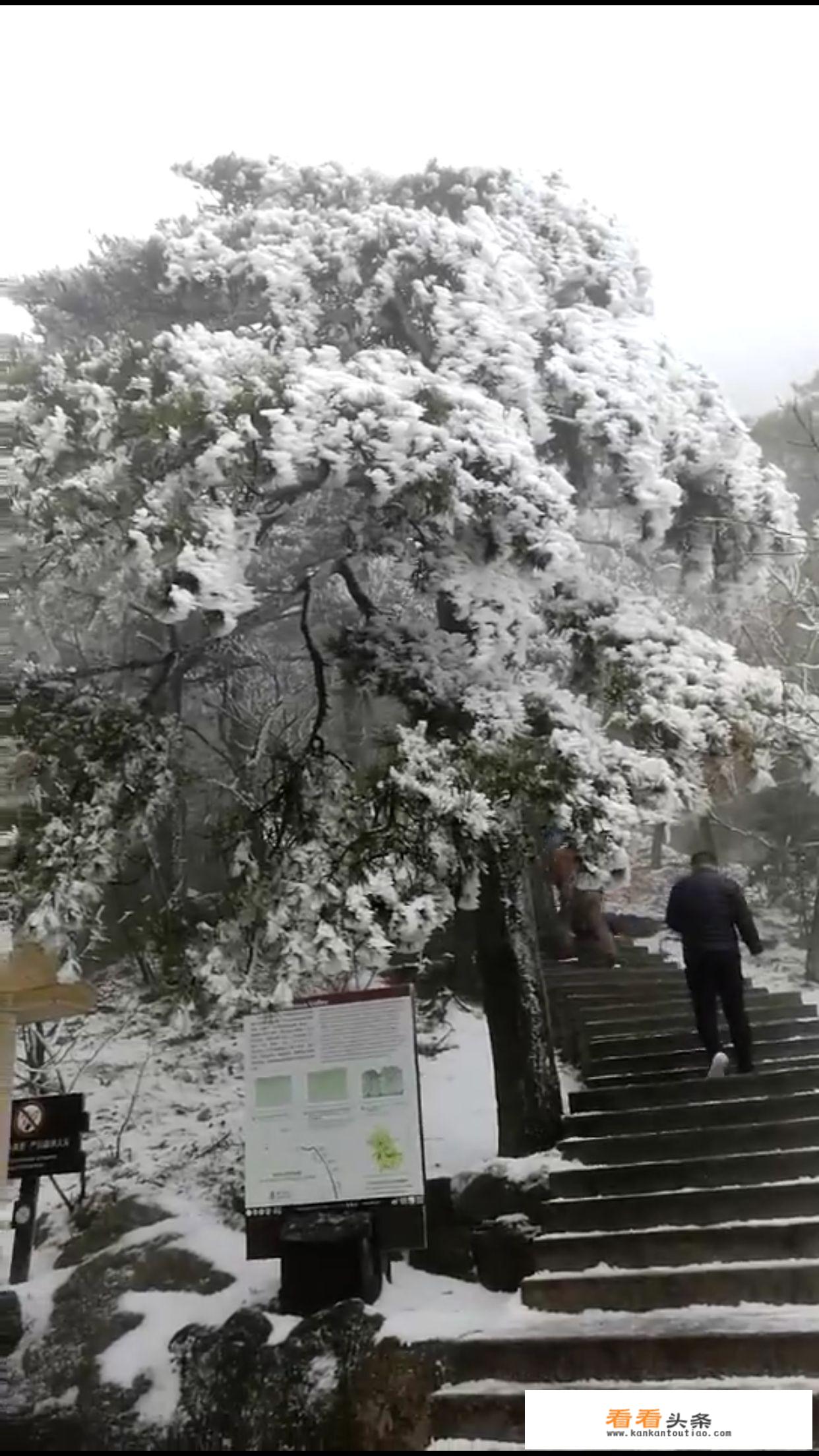 如何看待安徽多地迎来今冬首场降雪，未来一周天气怎么样？