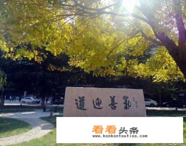 山东财经大学有几个校区及校区地址哪个校区最好？