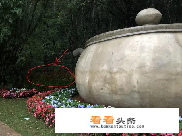 合谋杀害女友的洪某，前女友评价他爱沾花惹草，怎么看？