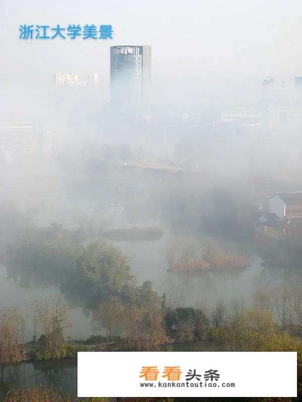 浙工大建筑学全国排名