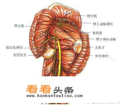 腰椎间盘突出能背东西么？