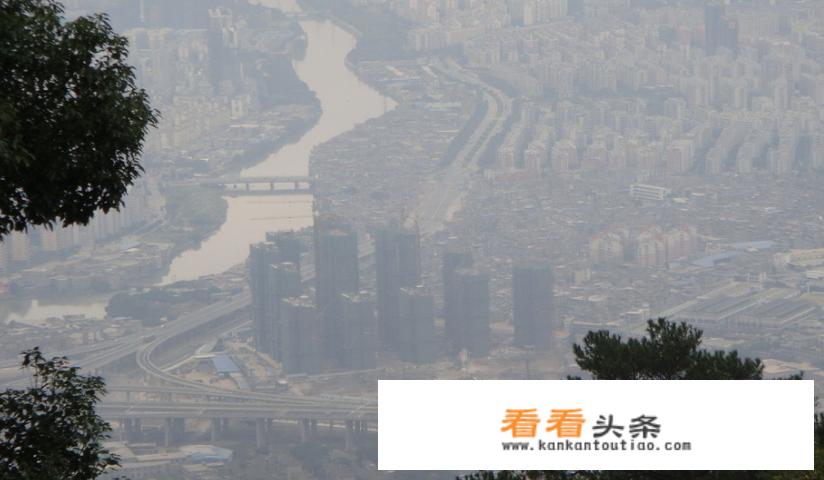 旗山森林公园什么时候开园？