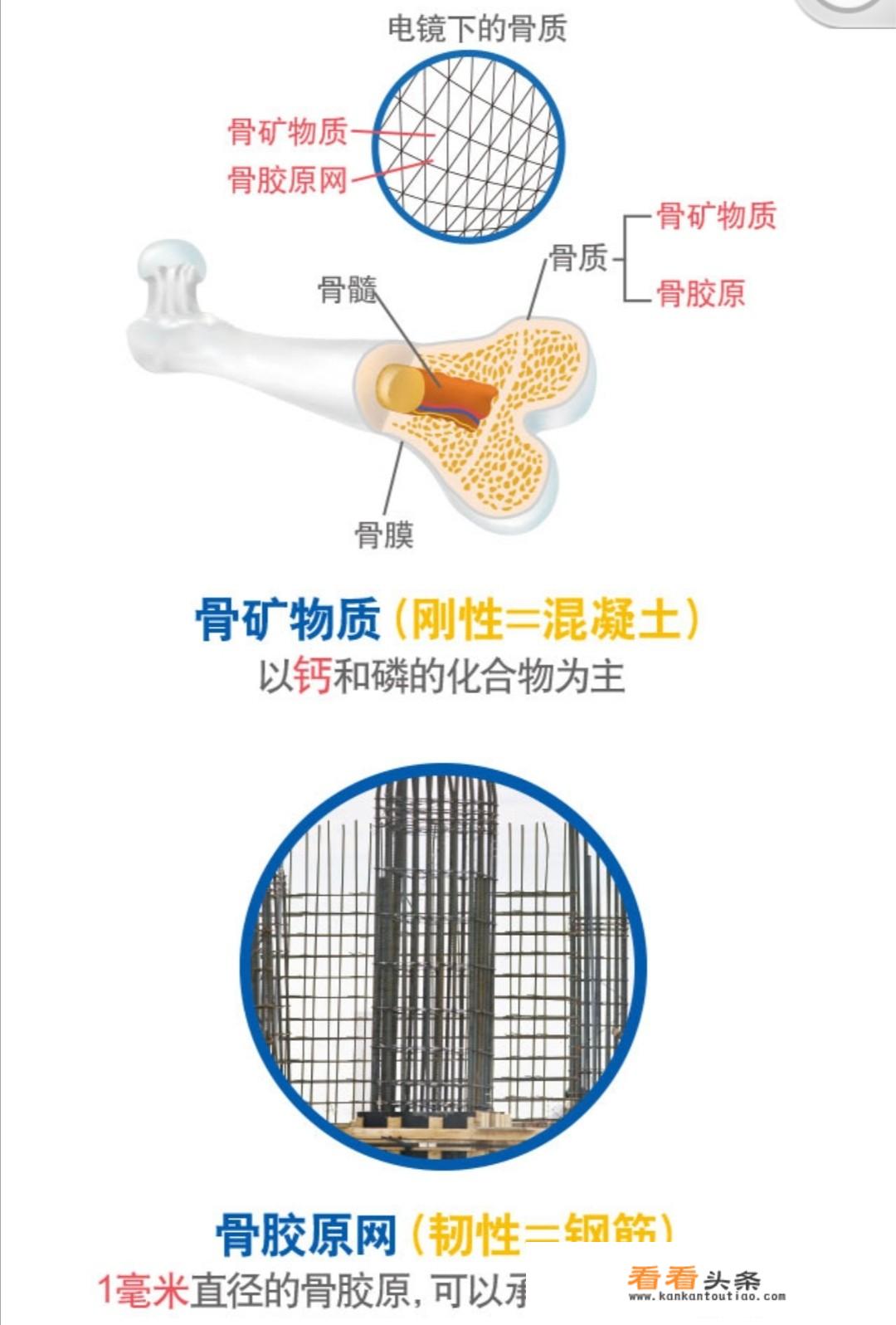 185cm男生标准腿围？