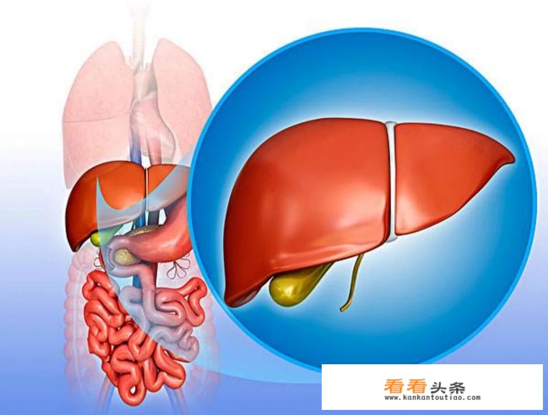 身体有哪3个特征说明肝脏很健康？