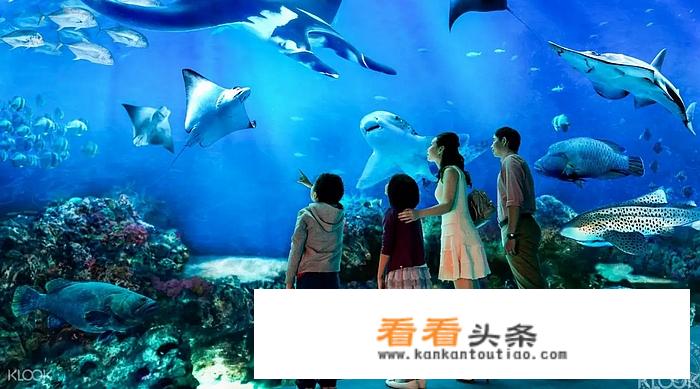 想开家水族馆，不知要多少投资和进货渠道？