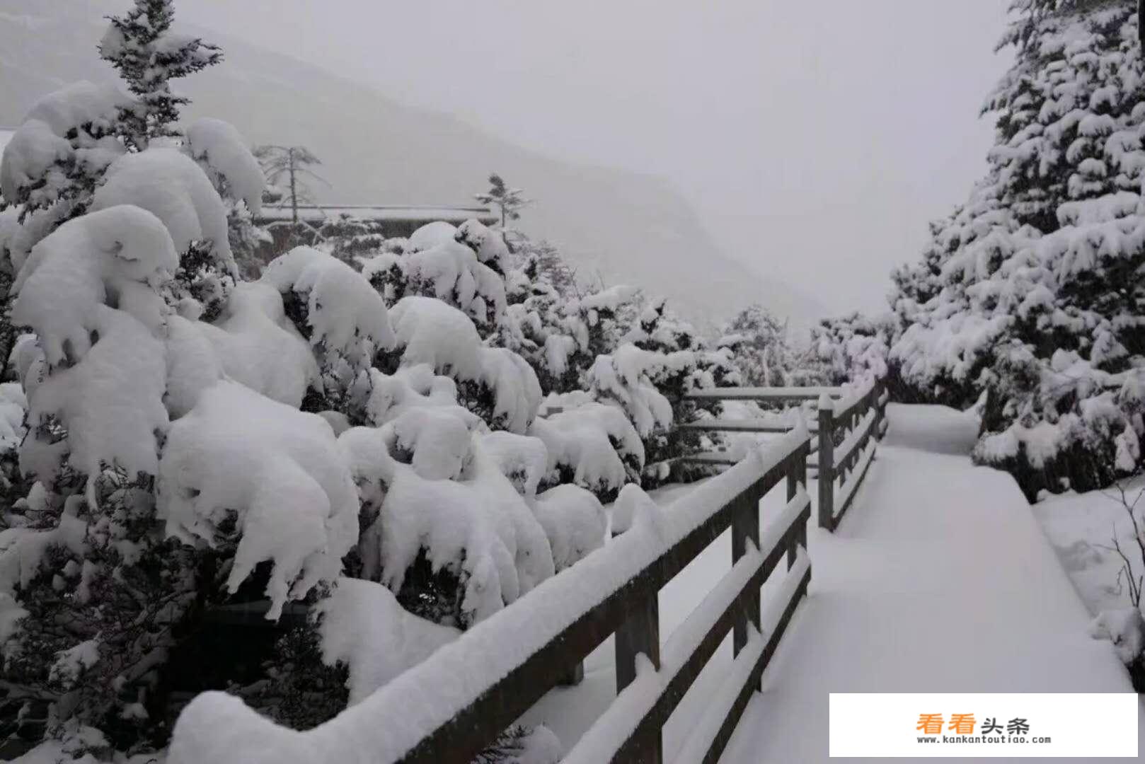 禄劝轿子雪山天气预报15天？