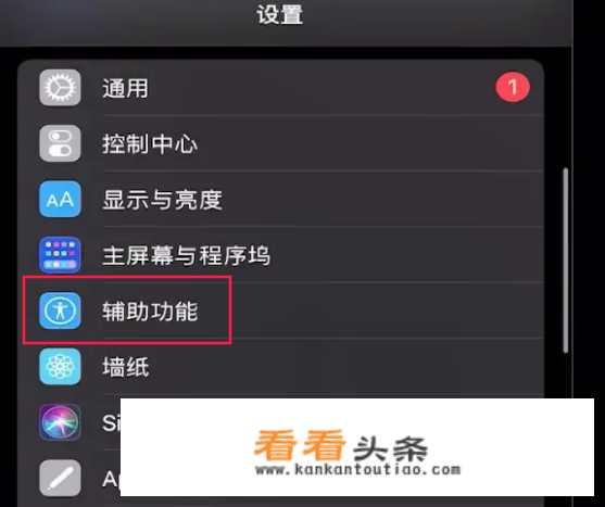 ipad小圆点怎么调出？