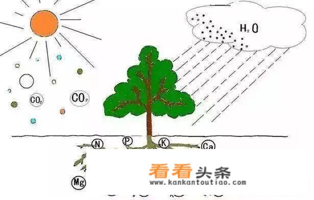 什么是社会医学化名词解释？