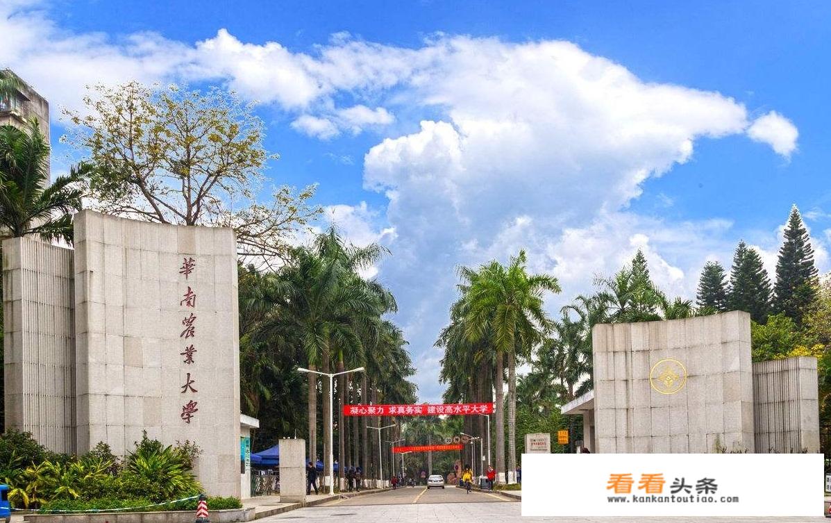 云南农业大学与甘肃农业大学在哪些方面存在差异？