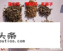 喝什么茶祛痘清热排毒？真的管用吗？