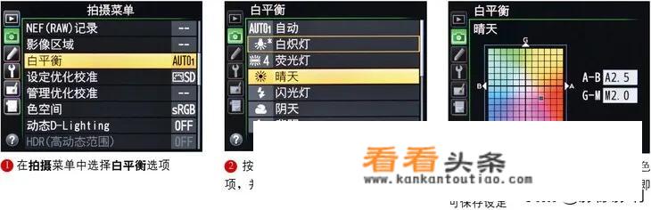 尼康5300要下载什么软件才能连接wifi？