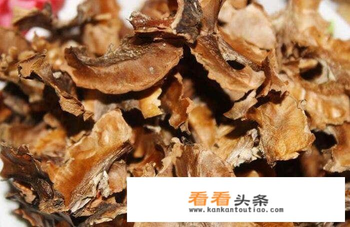 分心木的功效与禁忌是什么？