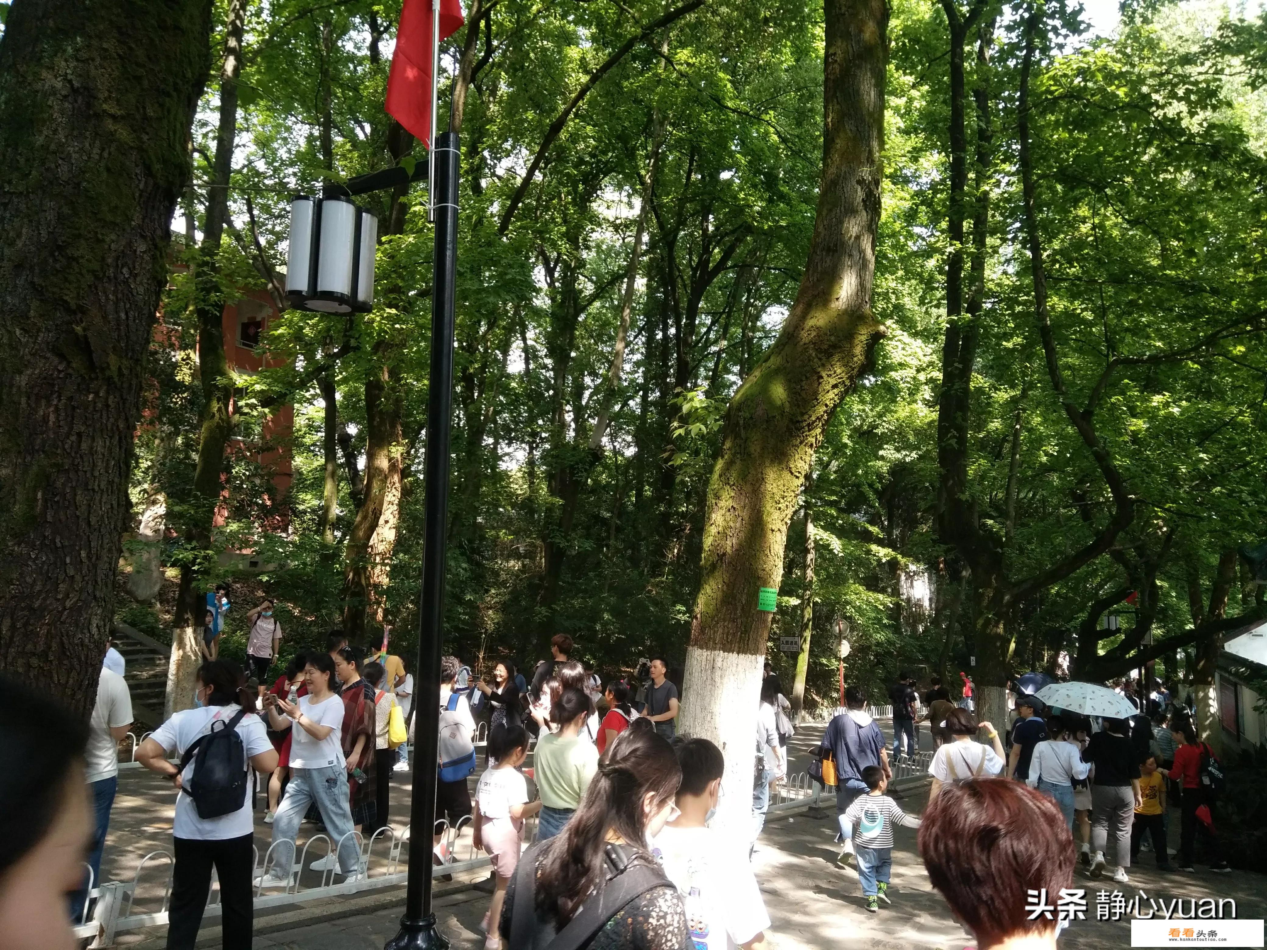 湖南省长沙市岳麓区望麓桥湖南大学北校区邮编是什么？