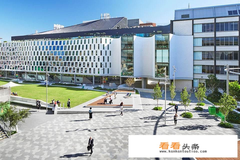 大学生对大学生活的看法和感受？