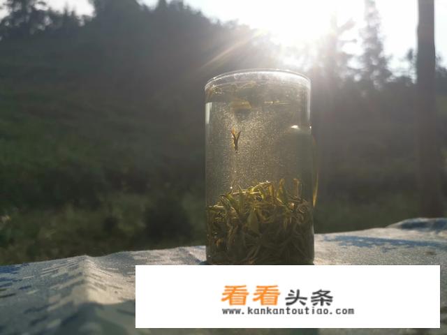 中国哪儿的毛尖茶最好啊？