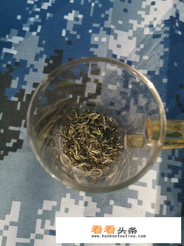 中国哪儿的毛尖茶最好啊？