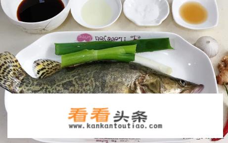 豉汁蒸桂鱼家常做法？