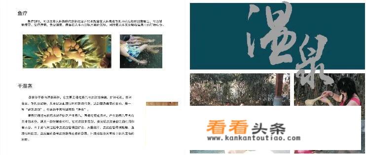 岳西必买菜？
