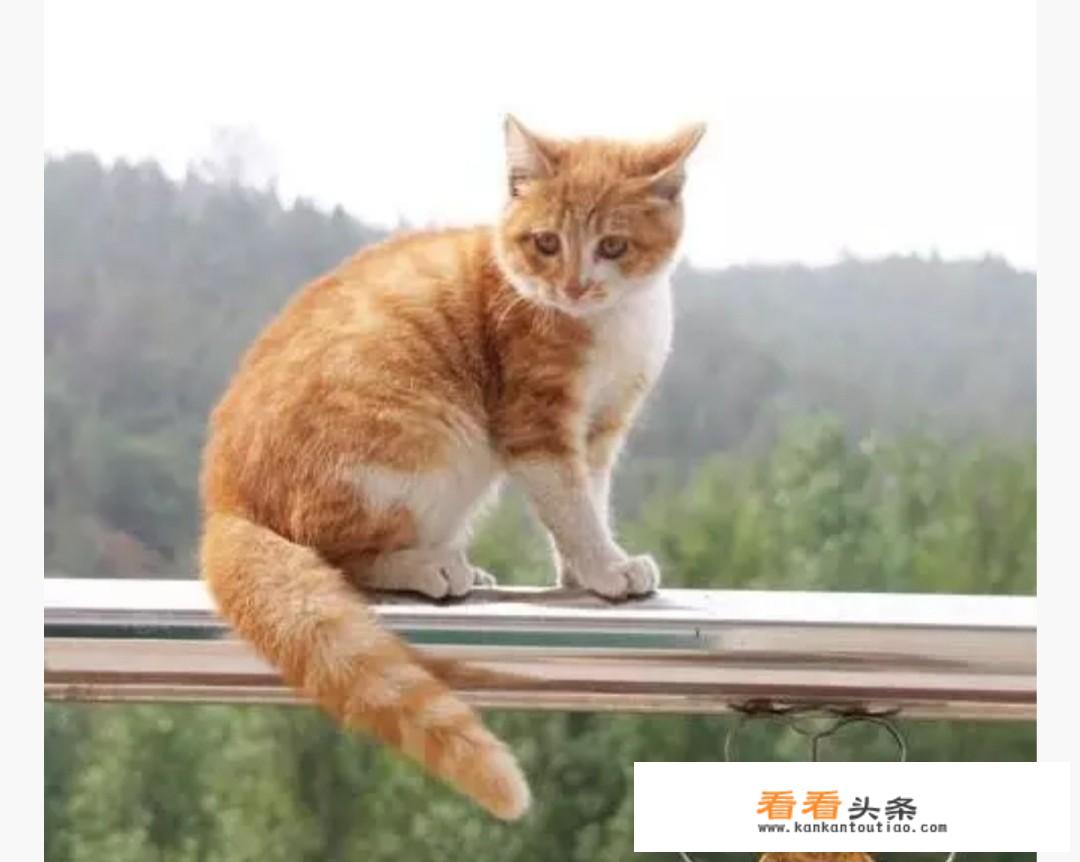 谁知道一些文明课间游戏？