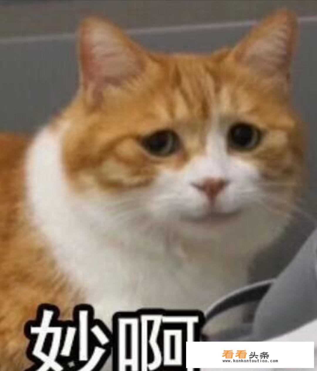 谁知道一些文明课间游戏？