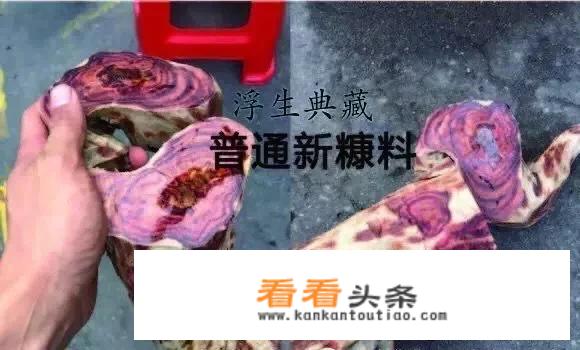 海南黄花梨哪里的料子最好？