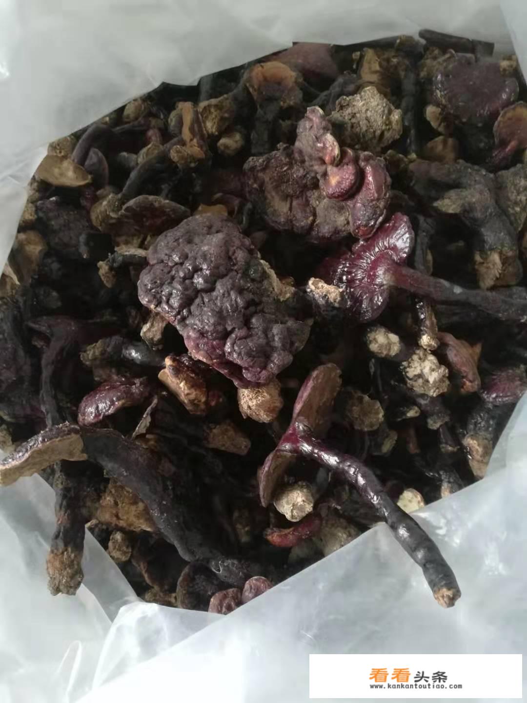 灵芝草怎么食用？