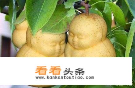 《西游记》中的人参果，闻一闻、吃一个分别能活多少岁？
