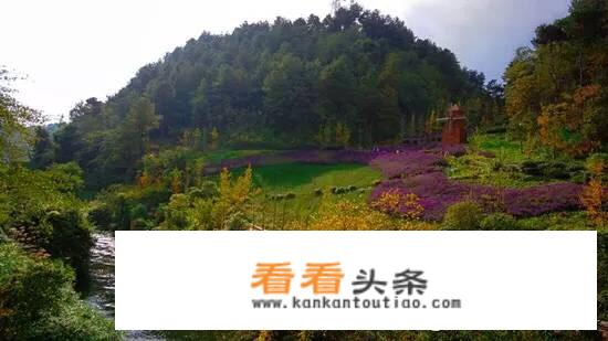 贵州到北京旅游攻略？