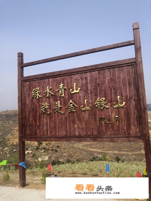 玖姿女装怎么样？