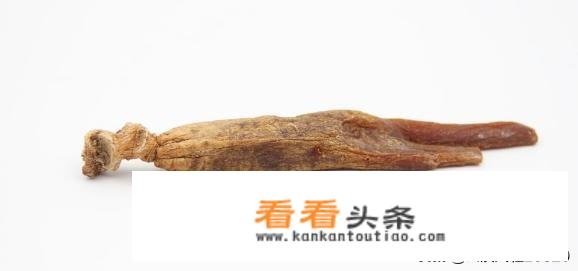 高丽参要怎样炖？