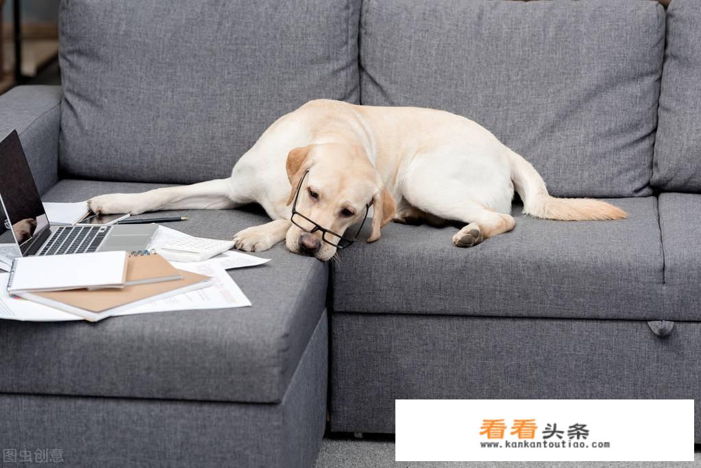 你家的孩子上了大学之后，学习压力大吗？