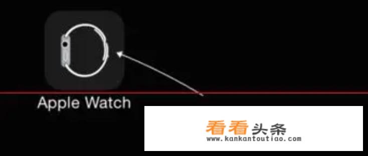 applewatch怎么查真伪？