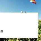 清明适合旅游吗？