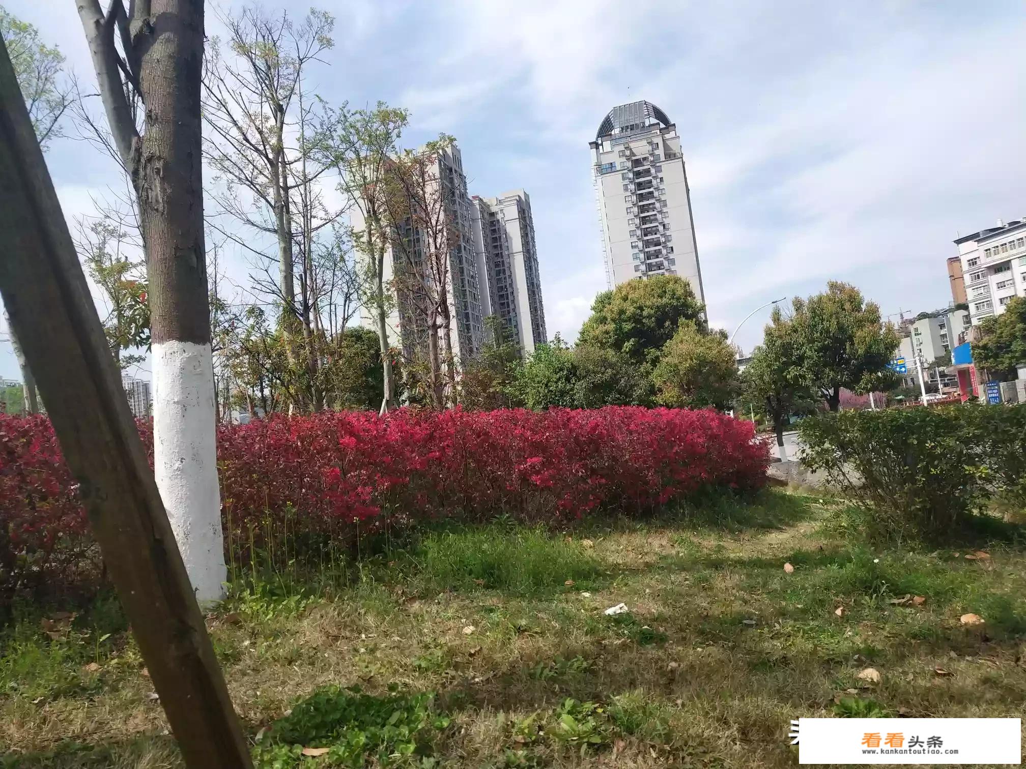 世界上有什么人玩游戏？