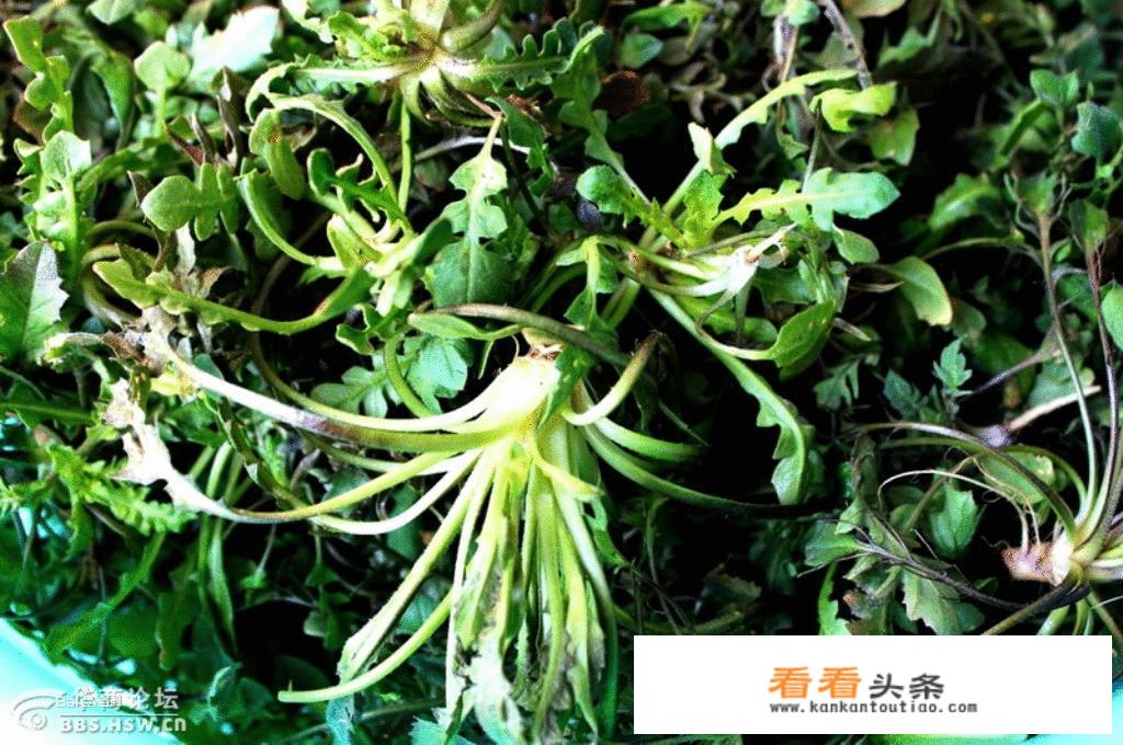 米饭饼子的家常做法？