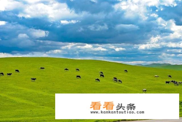 内蒙草原的简介？
