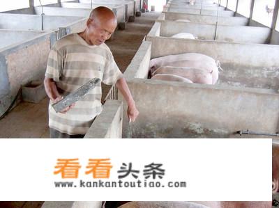 养猪行业的现状和发展前景？