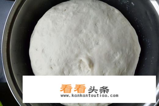 怎么做包子蓬松又软又好吃？