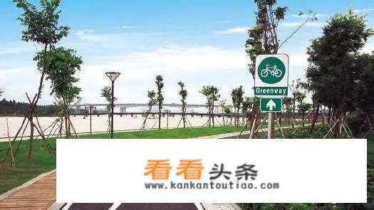 蕉门河绿道的介绍？