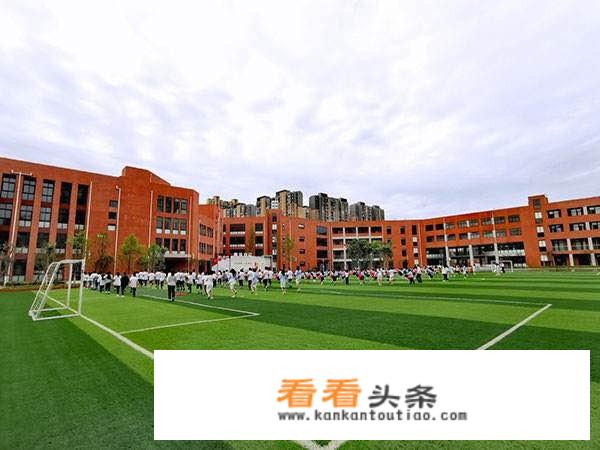 大学班级意见怎么写？