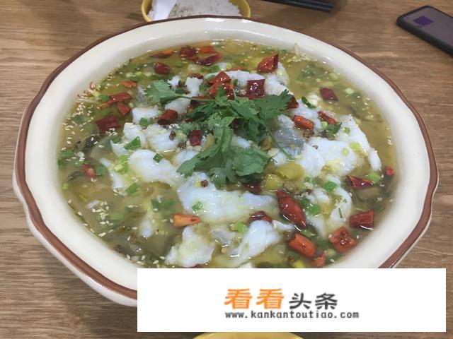 酸菜鱼怎么做好吃，家常酸菜鱼的家常做法？