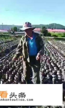 锅巴肉片的做法视频王刚？